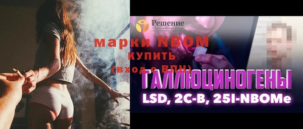 шишки Сосновоборск