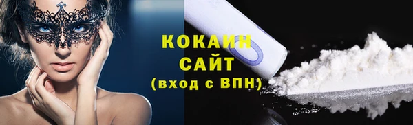шишки Сосновоборск