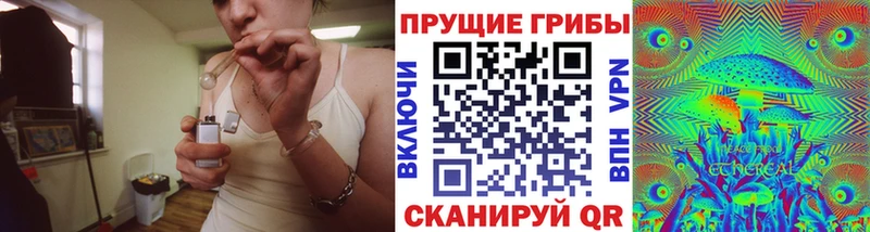 Псилоцибиновые грибы Magic Shrooms наркошоп МЕГА вход Буйнакск
