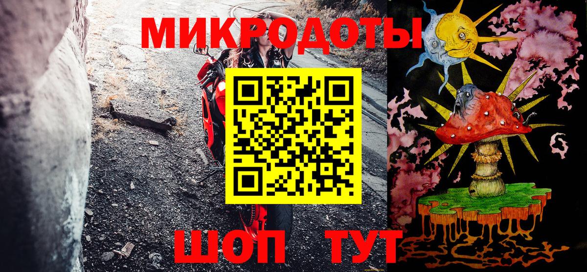 Галлюциногенные грибы прущие грибы Буйнакск