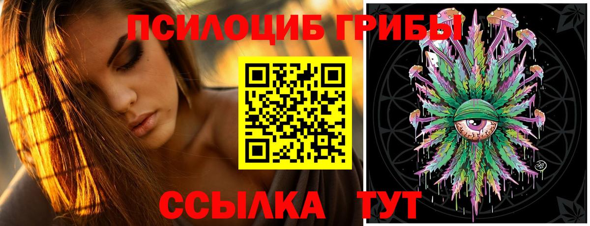 Буйнакск  Псилоцибиновые грибы Psilocybe  Вход с VPN 