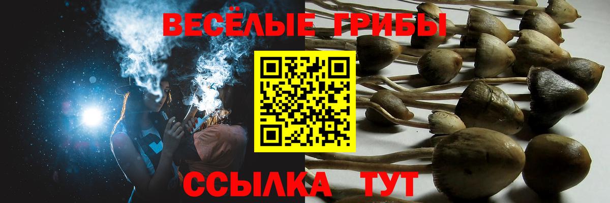 ГАШ  Буйнакск  Марихуана  LSD-25  МЕФ кристаллы  Гашиш  Вход с VPN 